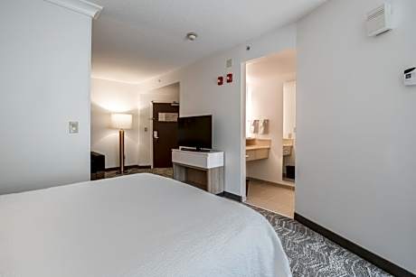 King Suite with Sofa Bed