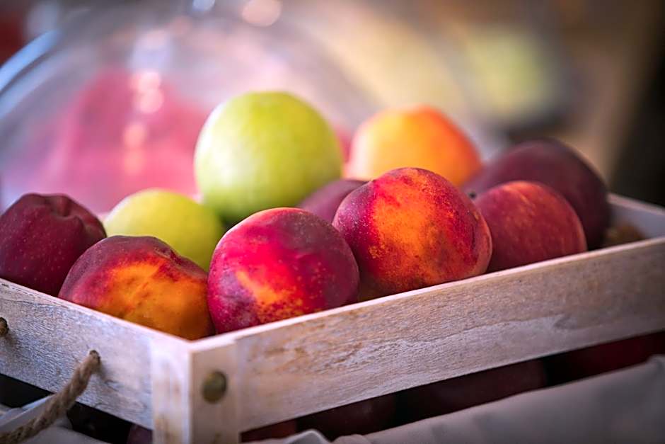 Elena Village Hotel & Suites