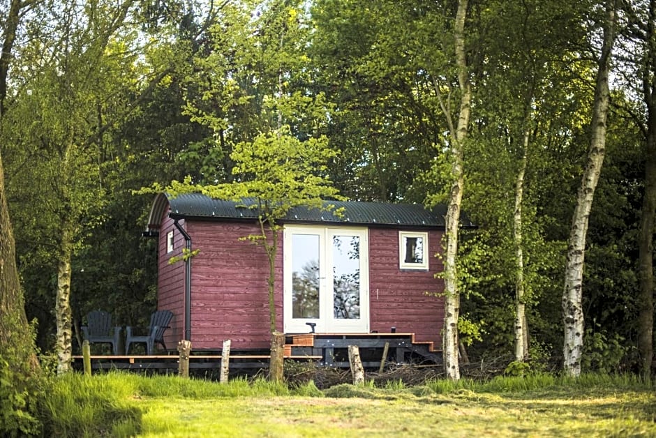 Tiny Houses Bij De Compagnons
