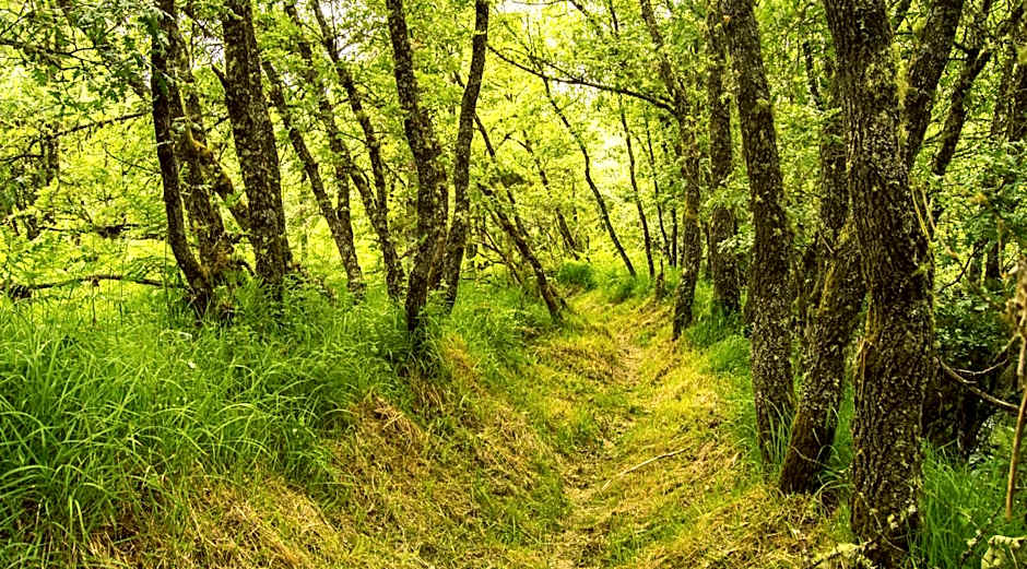 Boticas Parque Natur Houses