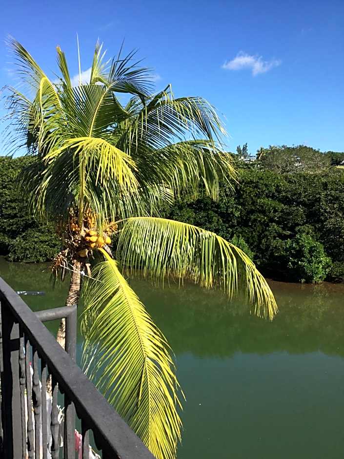 Le Bamboo Guesthouse