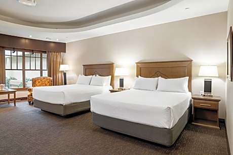 Standard 2 Queen Room