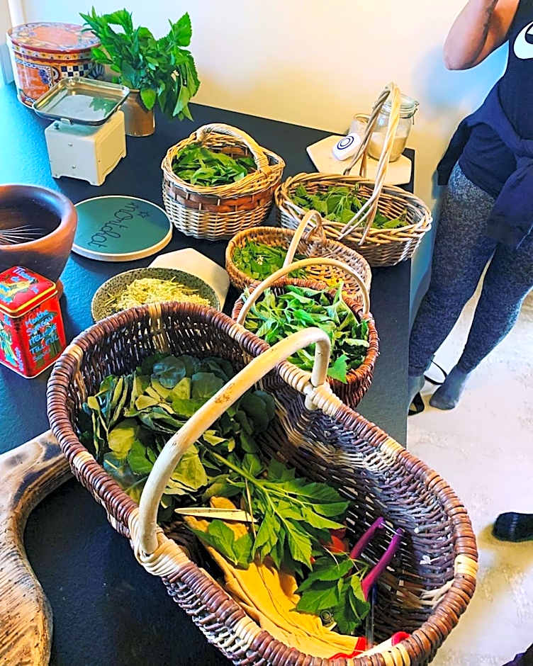 le chalet de Plainpalais