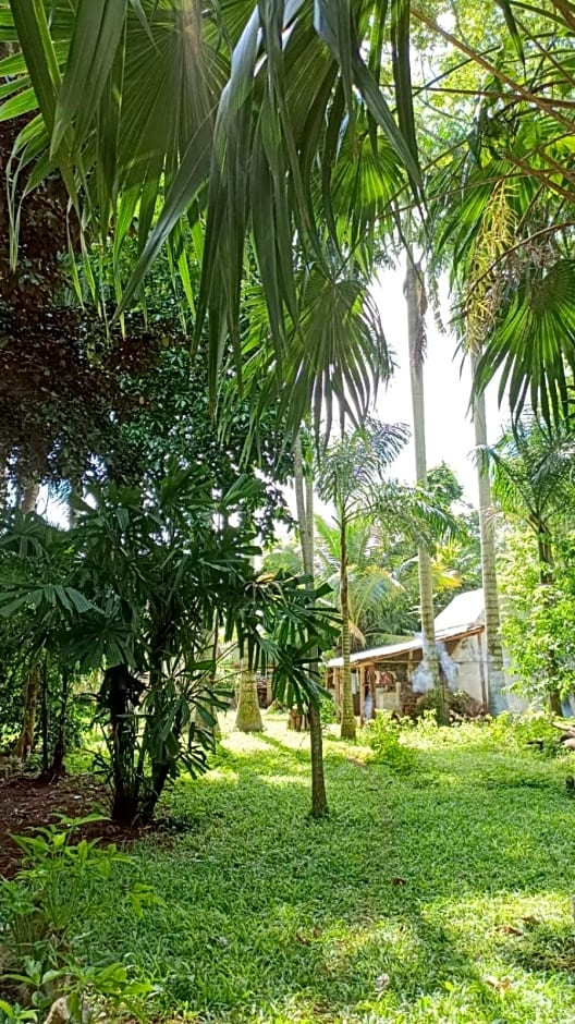 Centro Social Ecoturistico La Alberca