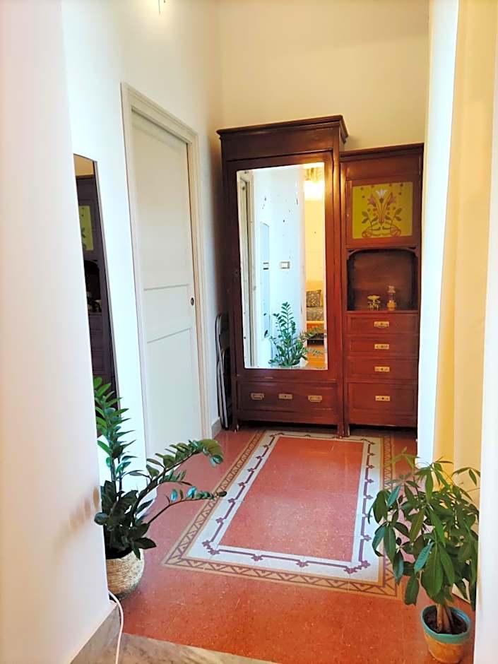 AUSA suites