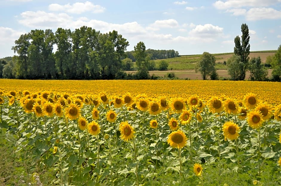 La Vieille Distillerie