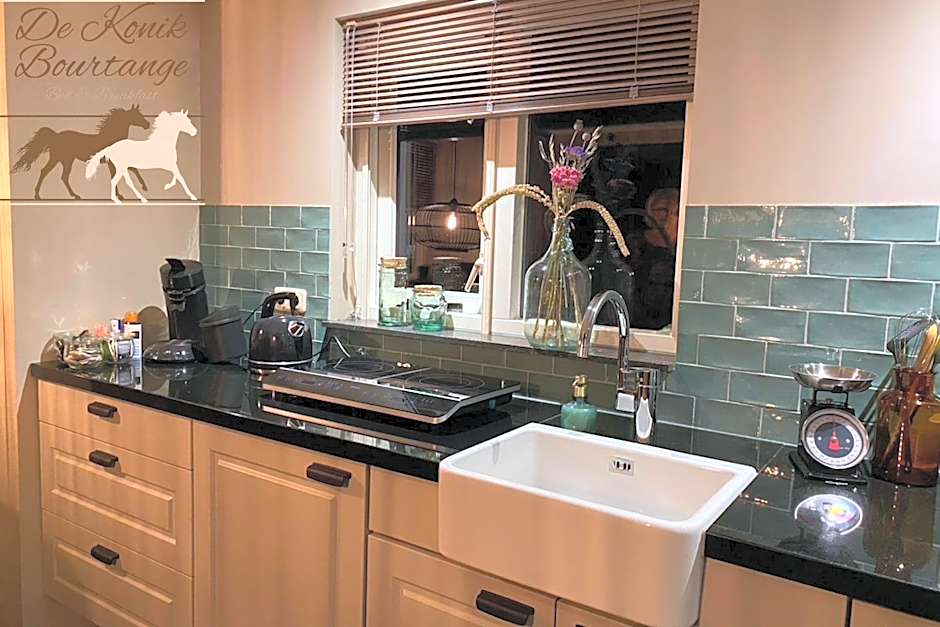 B&B De Konik Bourtange