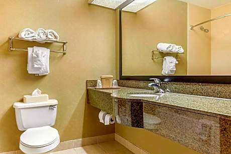 1 King Bed, Suite, Nonsmoking