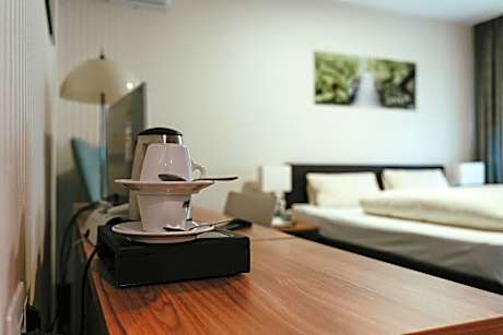 Deluxe Double or Twin Room with Garden View