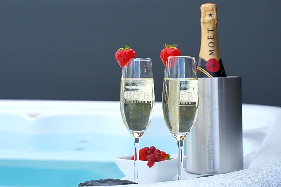 B&B het duinhuisje met jacuzzi, gratis parkeren, 2 fietsen te leen, airco