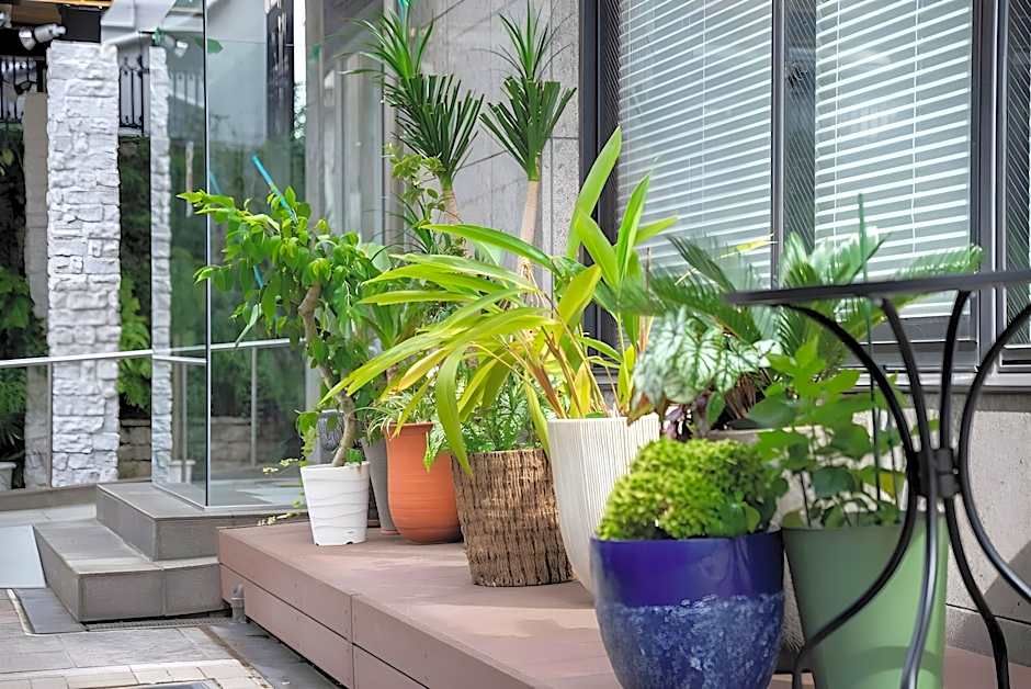 Kagoshima Plaza Hotel Tenmonkan