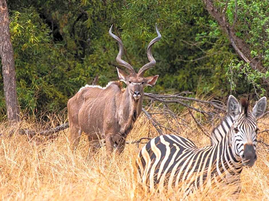 Zebra Nature Reserve
