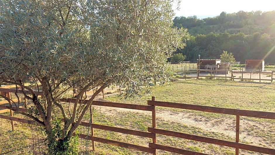 Chambre d'hôtes le petit Ranch