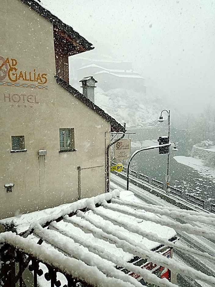 Hotel Ad Gallias