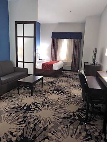 King Suite with Roll-in-Shower - Accessible/Non-Smoking