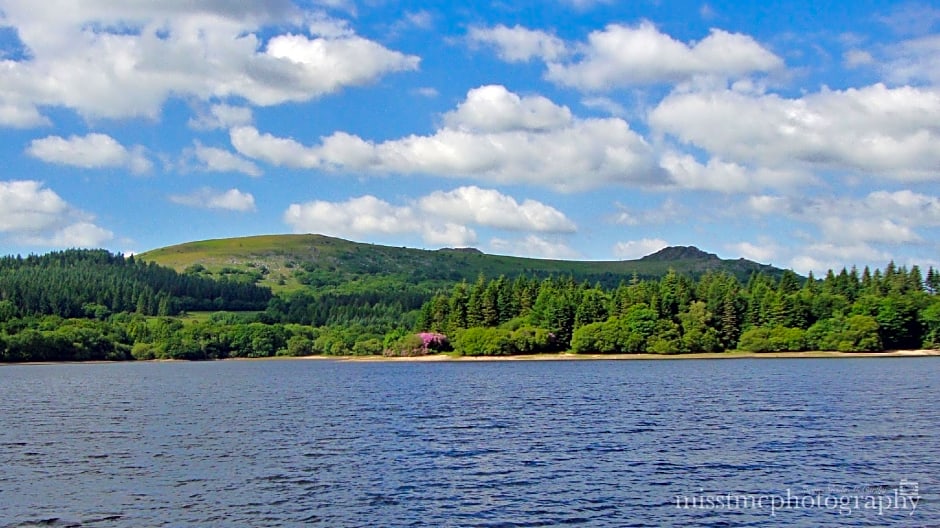 Dartmoor Reach Alpaca Farm