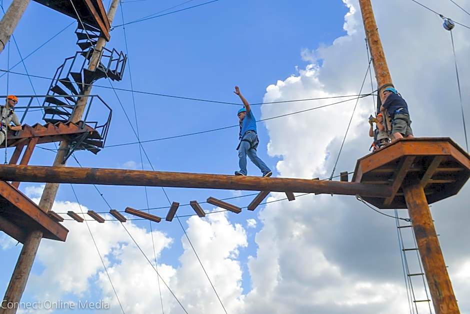 Holiday Inn Express Hotel & Suites Tampa-Oldsmar By IHG