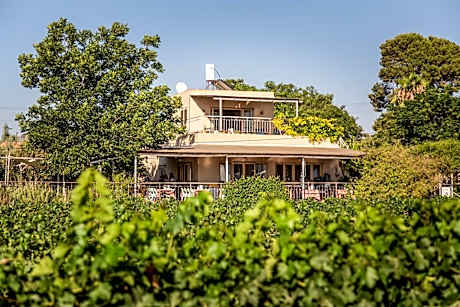 Mettler Winery