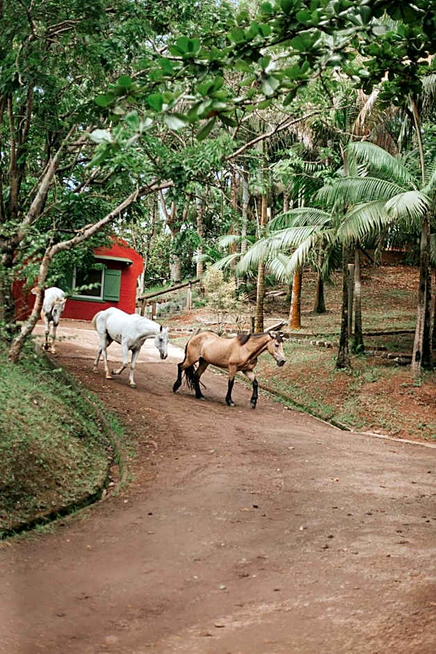 La Vieille Cheminée, Tropical Farm & Eco-Lodges