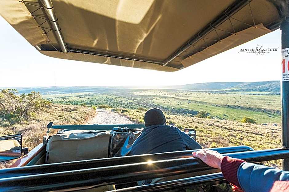 Leeuwenbosch Country House - Amakhala Game Reserve