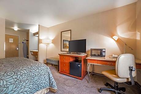 1 Double Bed, Nonsmoking, Accessible