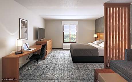 King Room with Sofa Bed and Roll-In Shower - Disability Access