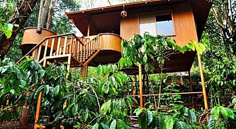 Planet Green Plantation Resorts