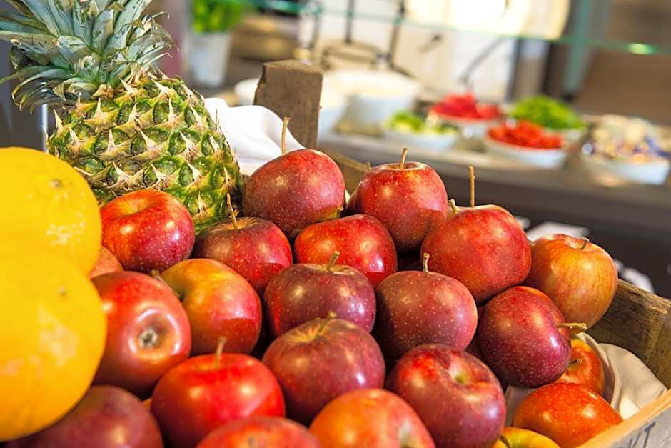 Ibis Muenchen Airport Sued