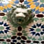 Riad Etoile D'essaouira