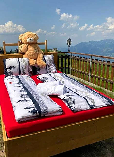 Ausflugs-Ski-Pistenhotel Klewenstock AUTO FREI Mit dem Mobiltelefon bestellen nur mit der Pendelbahn erreichbar auf 1600müm
