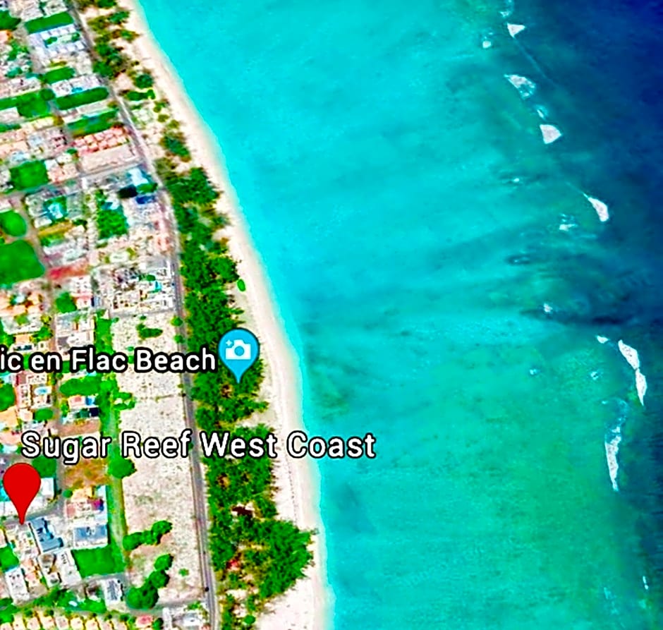 Sugar Reef West Coast