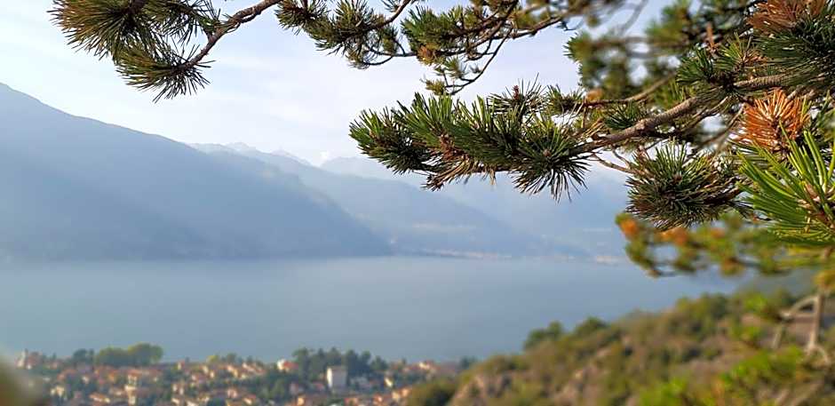 LA MAGNOLIA Guests House