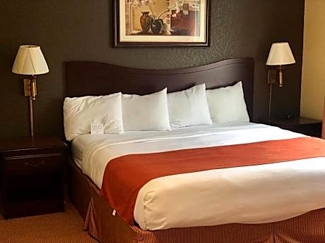 1 King Bed, Nonsmoking, Accessible