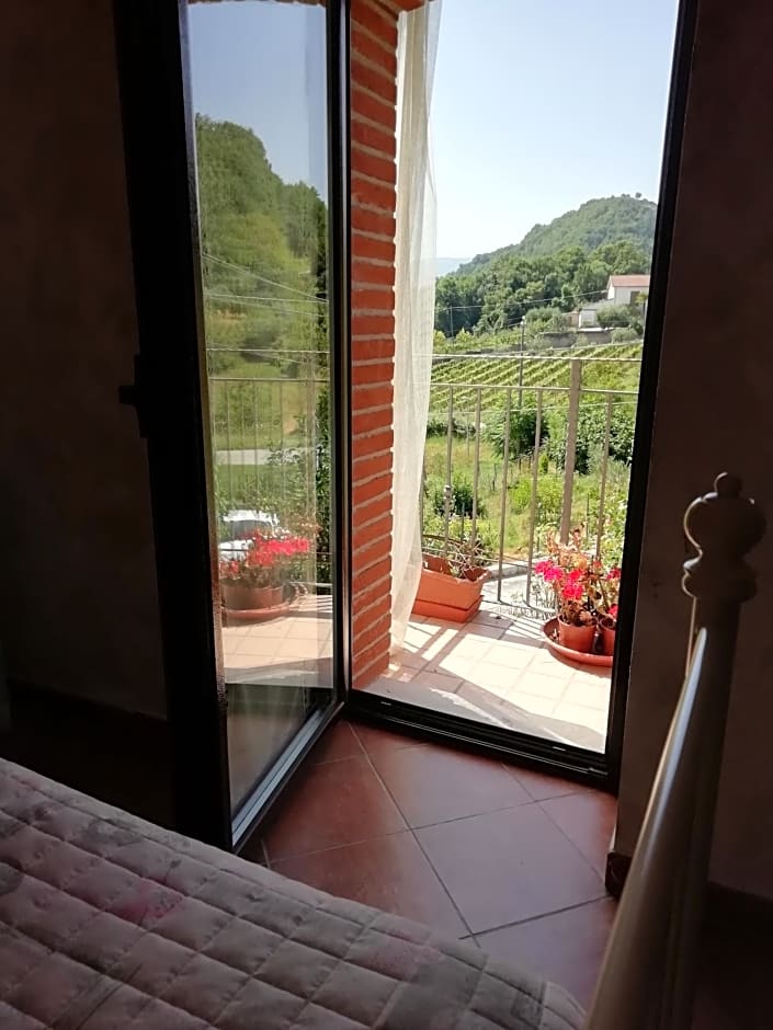 Alla Contrada degli Asinelli