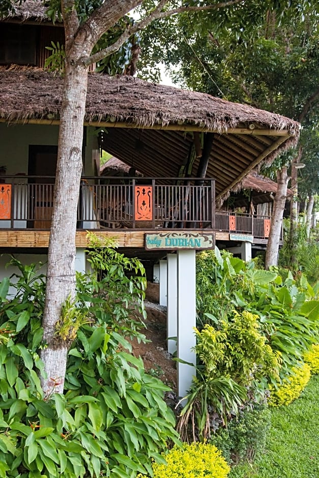 Damires Hills Tierra Verde