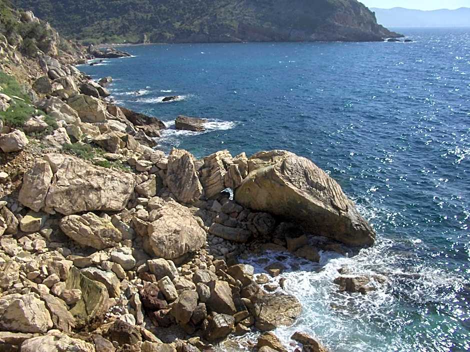 Cota Quinta