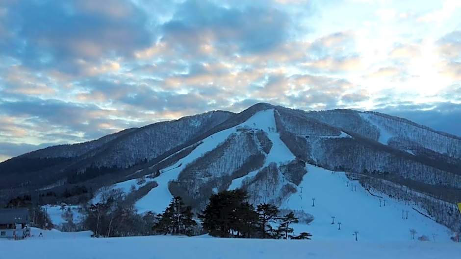 Japan Snowsports