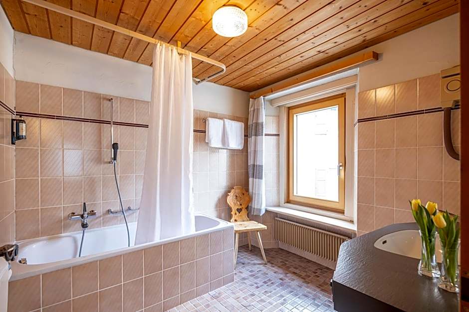 Hotel Alpina