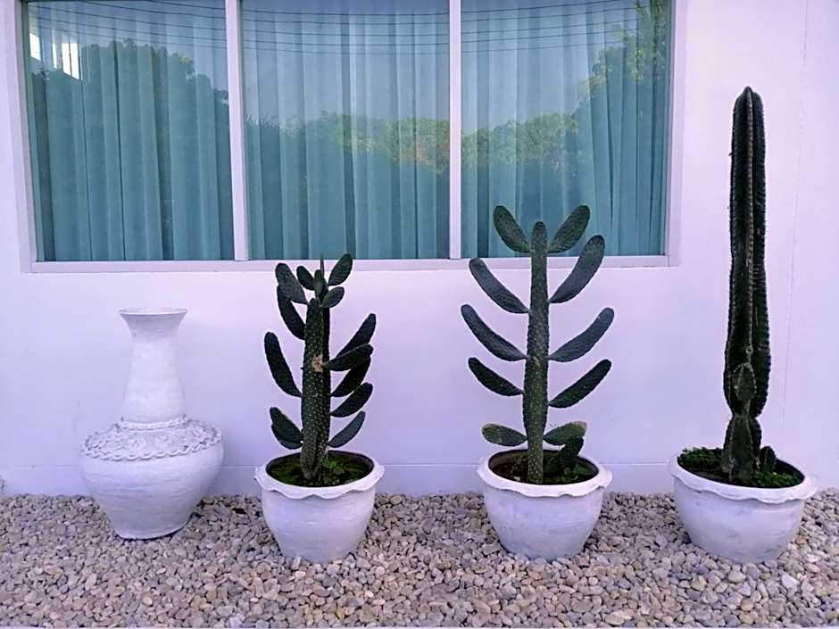 PATRA Agaligotel