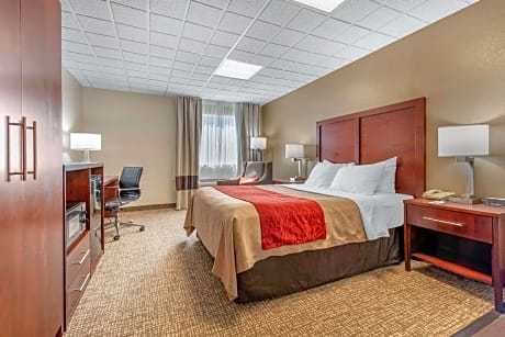 Comfort Inn Fremont