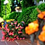 Alekta Hotel - Free Parking