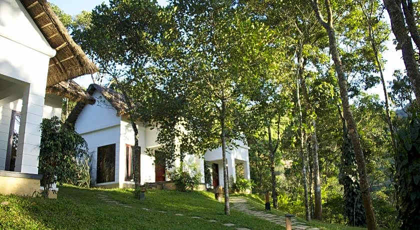 Niraamaya Retreats Cardamom Club
