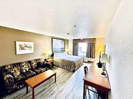 King Studio Suite - Non-Smoking