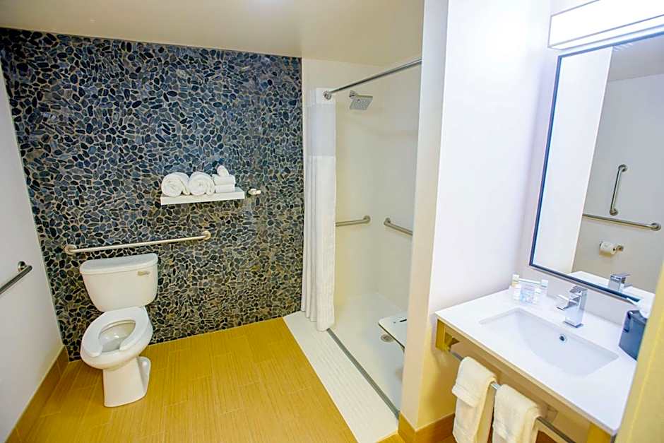 Hilton Garden Inn Rochester Downtown