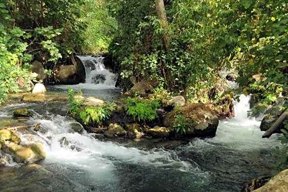 Magical in the Galilee