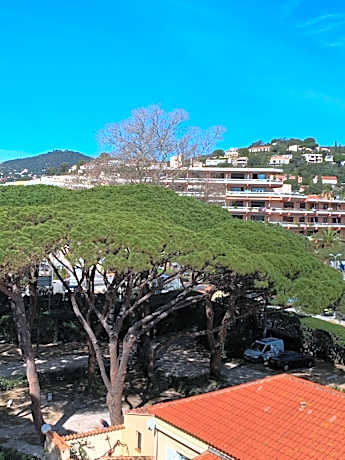 Single Room - Park Side