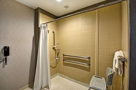 Suite, 1 King Bed with Sofa bed (1 King Bed and 1 Double Sofa Bed)