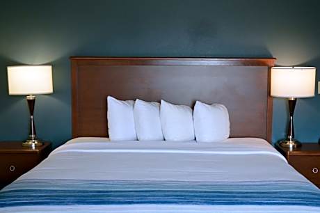 One-Bedroom King Suite - Non-Smoking