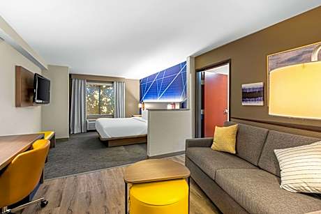 1 King Bed Suite Nonsmoking