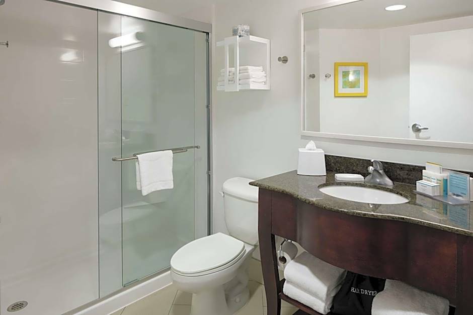 Hampton Inn By Hilton And Suites Memphis-Beale Street